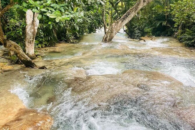 private-dunn-river-falls-and-park-tour-from-montego-bay