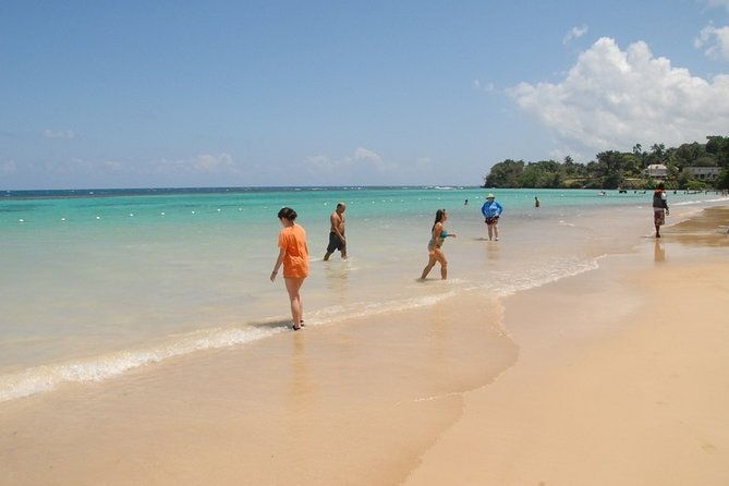 private-dunns-river-falls-and-bamboo-beach-club-tour-from-grand-palladium