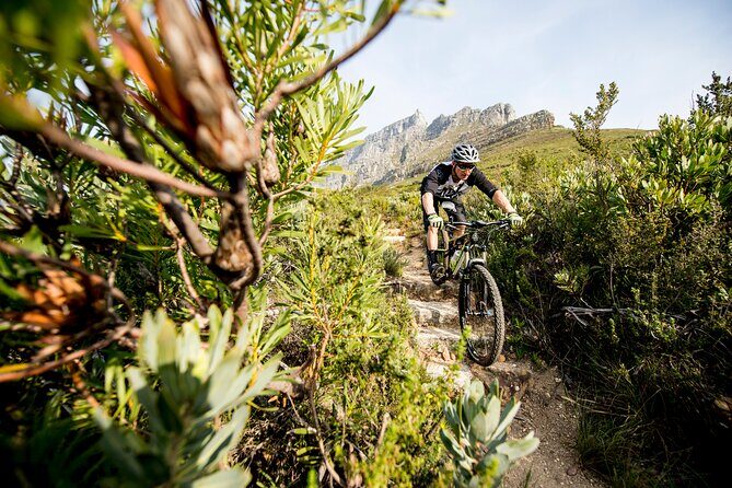 Private E-Bike Cape Town MTB Trails with a Pro - Who Should Consider This Tour?