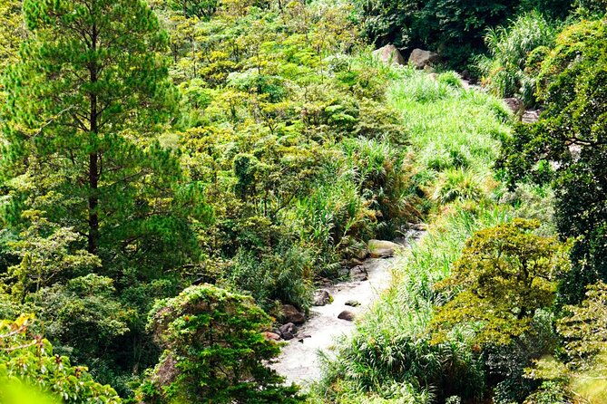 private-e-bike-coffee-tour-in-boquete