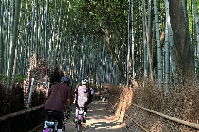 private-e-bike-cycling-tour-in-arashiyama