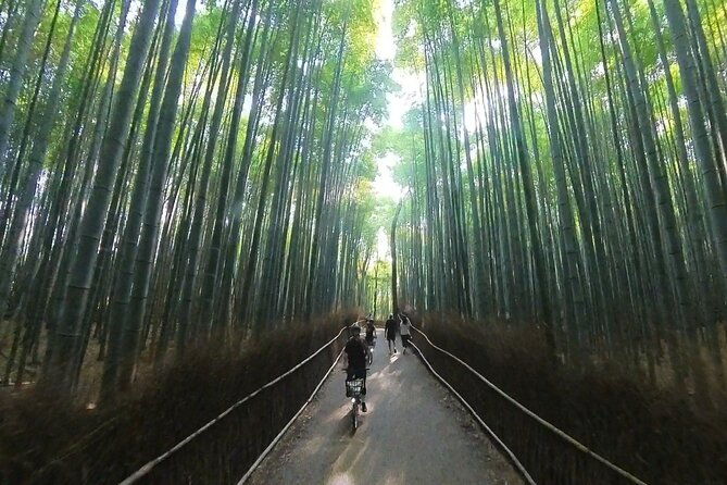 private-e-bike-cycling-tour-in-arashiyama