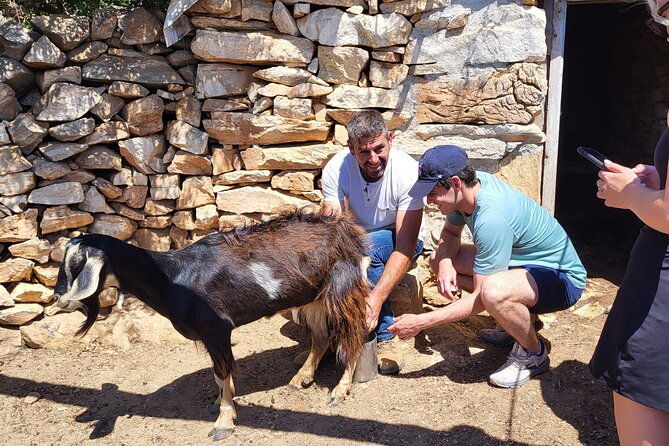 private-e-bike-guided-ode-yssey-uncharted-tour-in-naxos