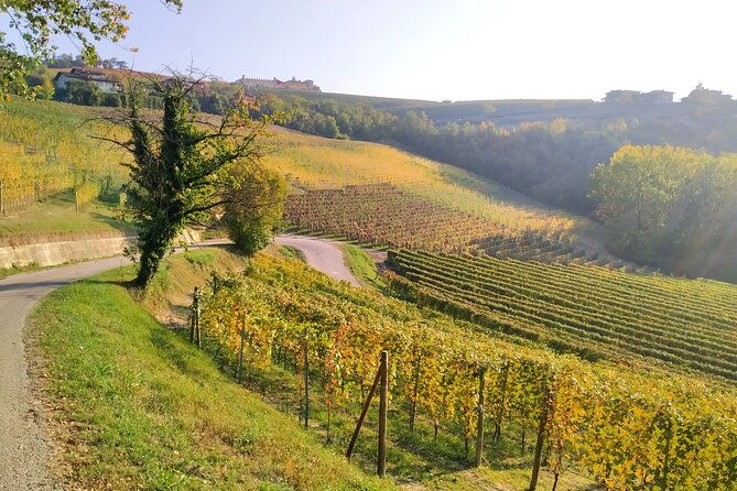 private-e-bike-tour-langhe-del-barbaresco-asphalt-only