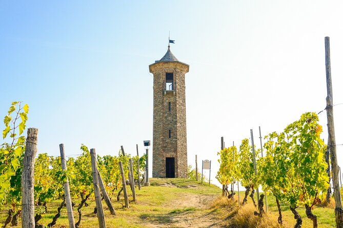 private-e-bike-tour-monferrato-di-canelli-asphalt-only