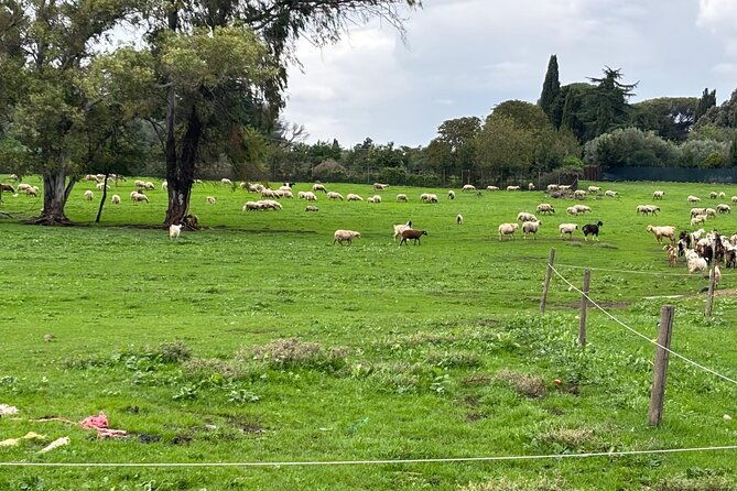 private-e-bike-tour-of-appian-way-aqueduct-catacombs-with-food-2
