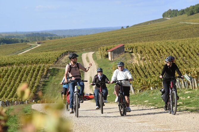 private-e-bike-tour-with-a-guide-in-the-vineyards-of-chablis