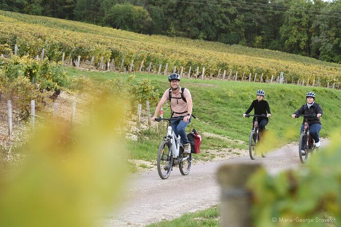 private-e-bike-tour-with-a-guide-in-the-vineyards-of-chablis