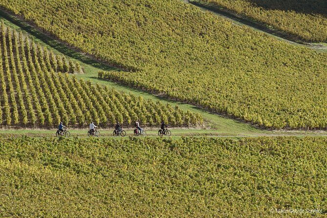 private-e-bike-tour-with-a-guide-in-the-vineyards-of-chablis