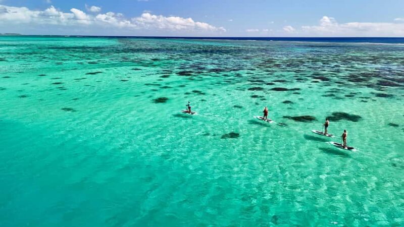 Private E-Board Tour of Moorea Lagoon - Key Points