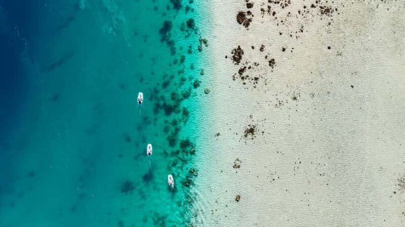Private E-Board Tour of Moorea Lagoon - Authentic Experience: What Reviewers Say
