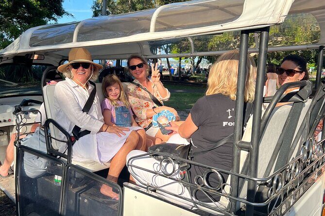 Private E-Tuk Tuk Adventure through Brisbane - Value and Practicality