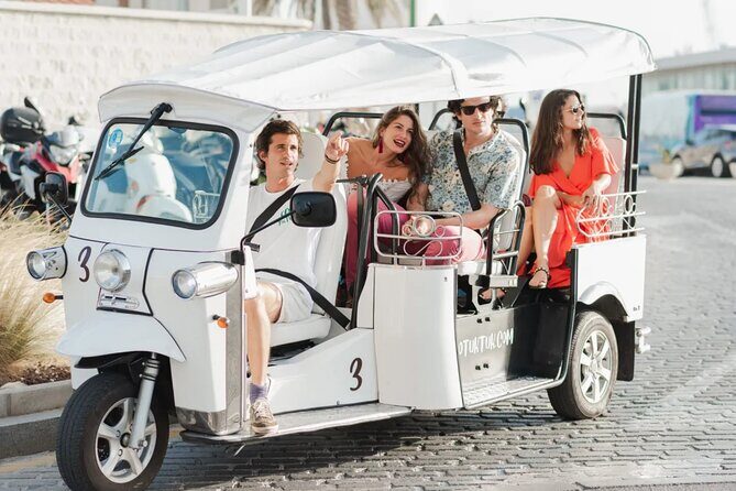 Private E-Tuk Tuk Adventure through Brisbane - Who Should Consider This Tour?