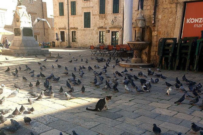 private-early-morning-dubrovnik-tour