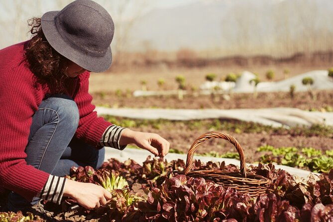 private-earth-experience-in-mendoza