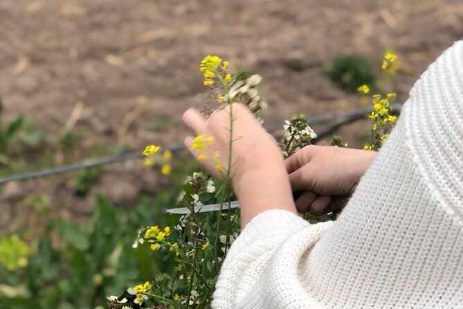 private-earth-experience-in-mendoza