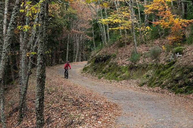 private-ebike-tour-through-serra-da-estrela-2