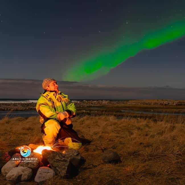 Private Eco Friendly Northern Lights Tour - Key Points