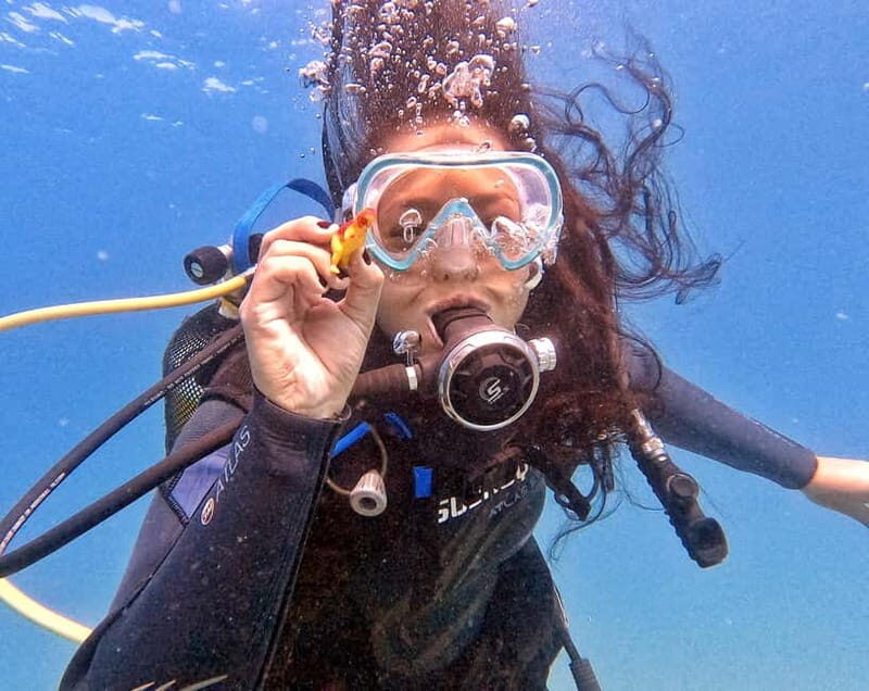 Private Eco Scuba Diving in Tenerife: no crowds and no rush - The Itinerary Breakdown