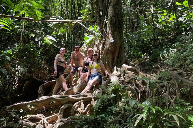 private-el-yunque-rainforest-day-tour-with-transport