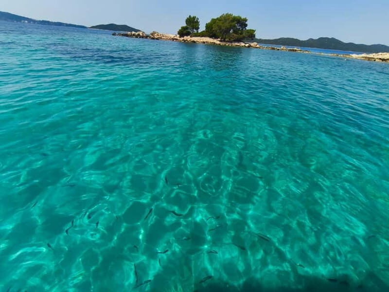 Private Elafiti Boat Tour- Visit Blue Cave and beach Sunj - The Experience at a Glance