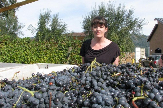 private-elegant-sophisticated-wine-food-pairing-experience-from-san-francisco