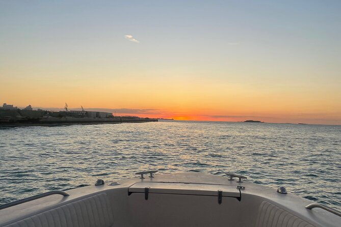 private-eleuthera-swimming-pigs-turtles-and-pink-sand-beach