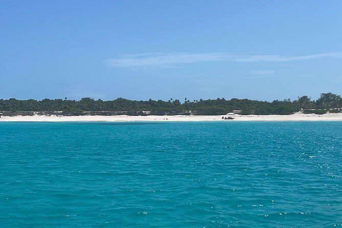 private-eleuthera-swimming-pigs-turtles-and-pink-sand-beach