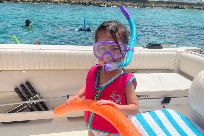 private-eleuthera-swimming-pigs-turtles-and-pink-sand-beach