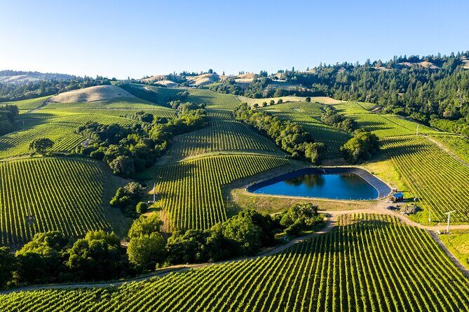 Private Enchanted Napa and Sonoma Wine Tour in SUV from SFO - Wrapping Up