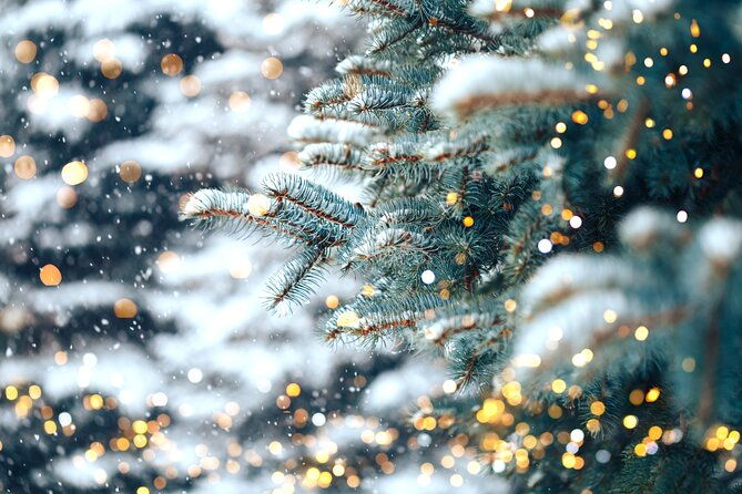 private-enchanting-nashville-christmas-lights-tour