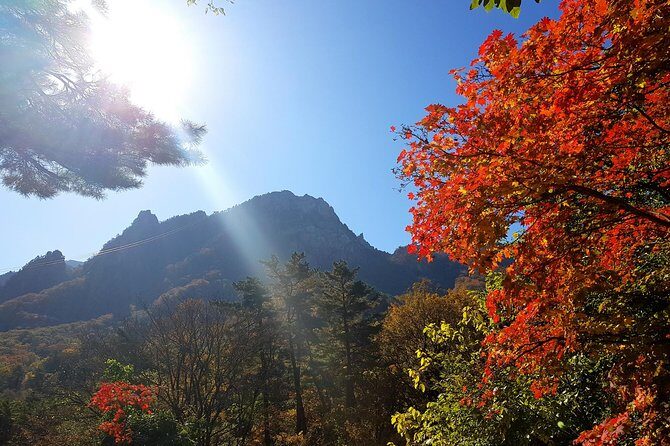 Private English Speaking Driver: Seoraksan & East Sea or Nami Island from Seoul - Who Will Enjoy This Tour Most?