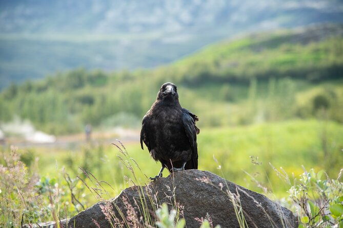 private-enhanced-golden-circle-4x4-tour-in-iceland