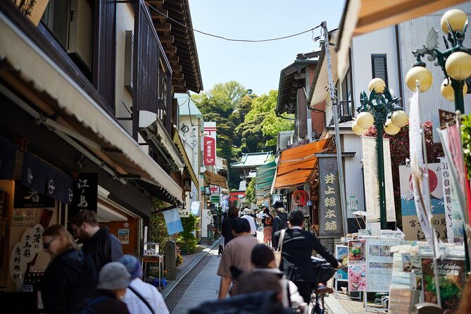 private-enoshima-and-kamakura-custom-walking-tour