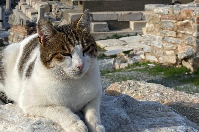 private-ephesus-and-artemis-temple-half-day-tour-on-time-return