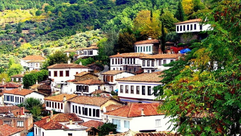Private Ephesus and Sirince Village Tour Cruiser Only - The Ephesus Experience: Walking Through Ancient Grandeur