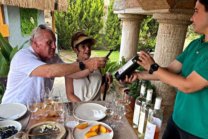 private-ephesus-tour-wine-tasting-farm-lunch