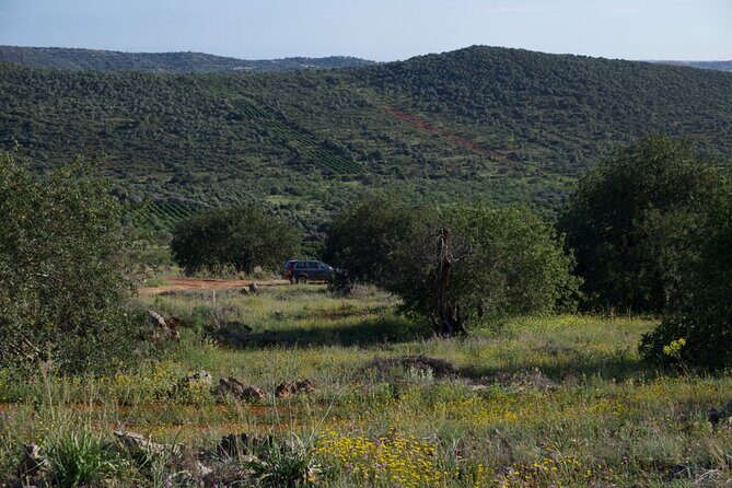 Private escape in the backcountry - Final Thoughts  