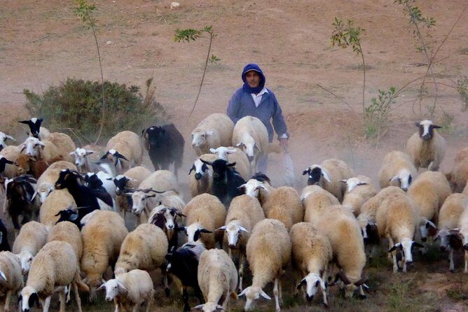 Private Escape To The Atlas Mountains: A unique cultural day out of Marrakech - Frequently Asked Questions