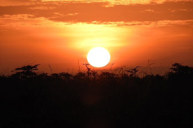 Private escape to:Nairobi national park tour 6.a.m to 11a.m - FAQ