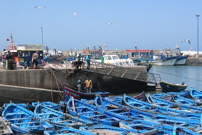 Private Essaouira Day Trip From Agadir - The Itinerary: What You Can Expect