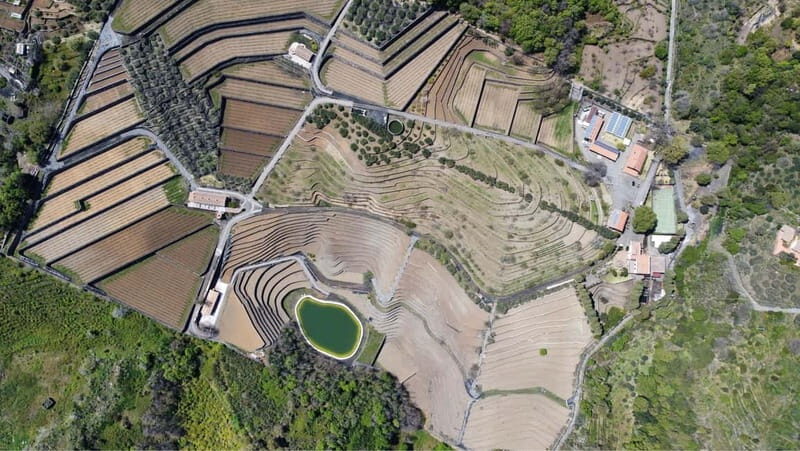 Private Etna panoramic tour+Wine tasting & food combination - What makes this tour stand out?