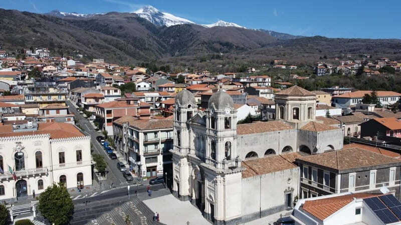 Private Etna panoramic tour+Wine tasting & food combination - To sum it up
