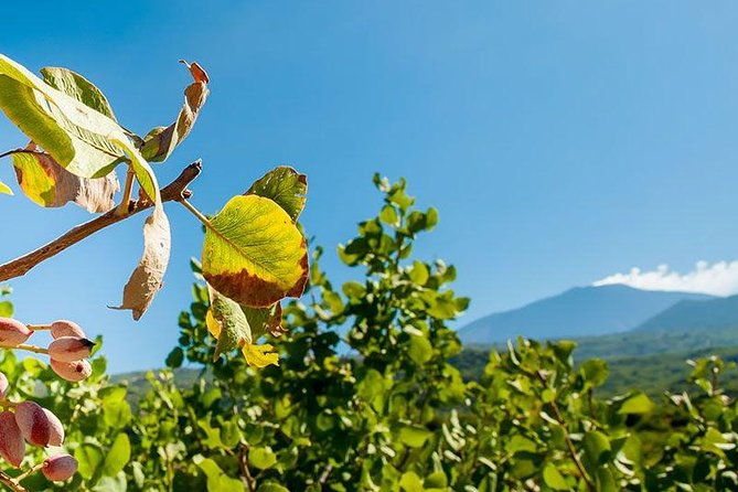 private-etna-tour-and-pistachio-lunch-in-a-pistachio-farm-2