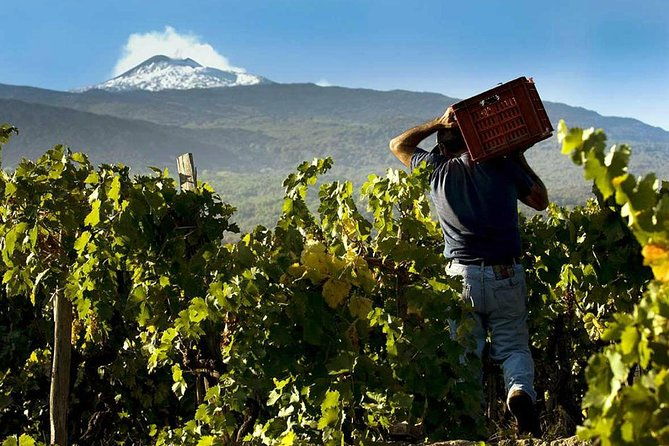private-etna-tour-from-catania-lunch-at-etna-winery