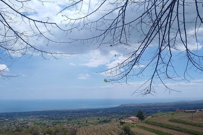 private-etna-tour-with-wine-tasting-and-lunch