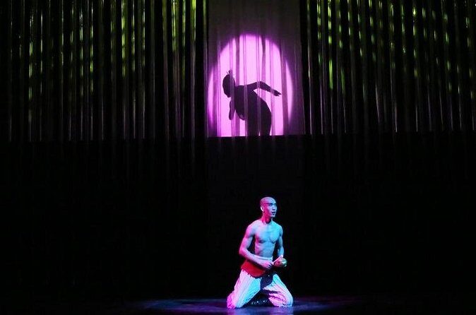 Private Evening Beijing Tour: Chinese Kungfu Show (VIP seats available) - FAQ