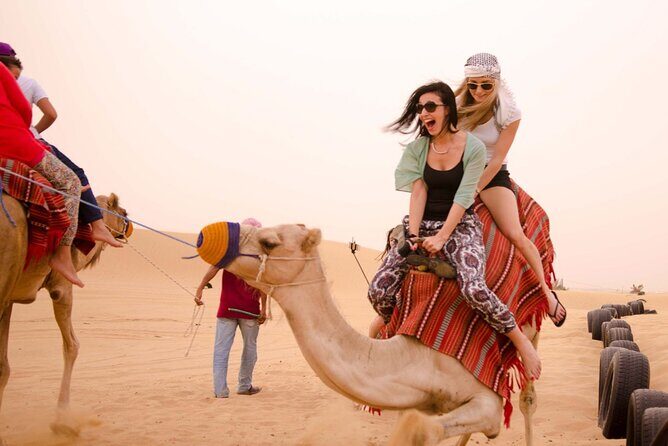 Private Evening Desert Safari with BBQ Dinner and Sand Boarding - Setting the Scene: What to Expect from the Tour