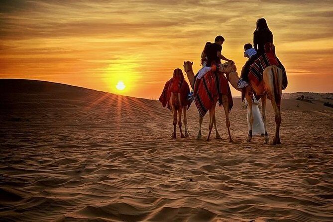 Private Evening Desert Safari with BBQ Dinner, Camel Ride And Sand Boarding - What We Loved About This Experience