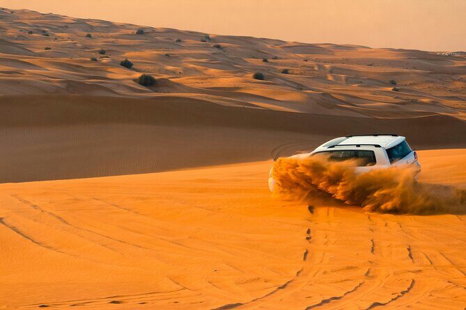 Private Evening Desert Safari with BBQ Dinner Sand Boarding - What to Expect from This Desert Safari